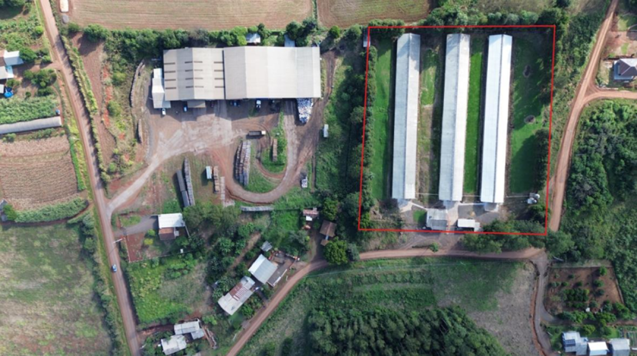 IMÓVEL (17.000 m2) DENTRO DE UMA ÁREA MAIOR DE  37.037,22m² COM GALPÕES AVIÁRIOS EM MONTENEGRO/RS